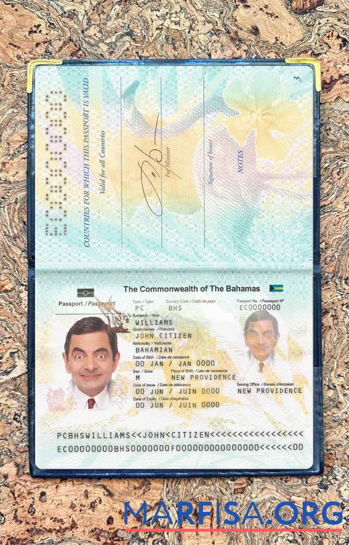 Realistic Bahamas passport photo look template